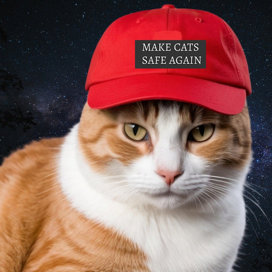 Make Cats Safe Again Dad Hat with Leather Patch